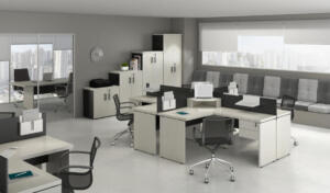 Professional Office Prius  Estação de Trabalho BR CAC